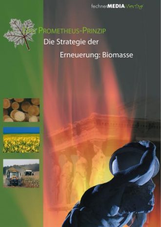 Die Strategie der Erneuerung: Biomasse